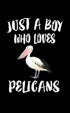 Just A Boy Who Loves Pelicans