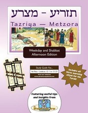 Bar/Bat Mitzvah Survival Guides