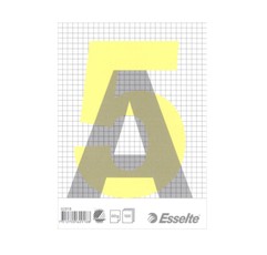 Bloknotas klijuotas A5/100l. Esselte langeliais