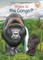 Where Is the Congo?