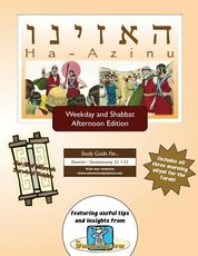 Bar/Bat Mitzvah Survival Guides
