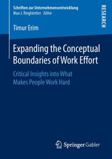 Expanding the Conceptual Boundaries of Work Effort