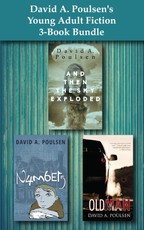 David A. Poulsen's Young Adult Fiction 3-Book Bundle