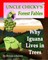 Why Iguana Lives in Trees