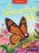 A Butterfly's Day