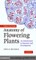 Anatomy of Flowering Plants