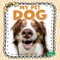 My Pet Dog