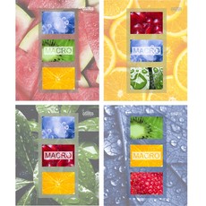 Sąsiuvinis „Macro“, 48 lapų, langeliais