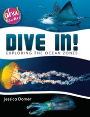 Dive In!