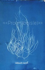 Pro(m)bois(e)