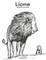 Lions Coloring Book for Grown-Ups 1