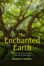 The Enchanted Earth