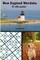 New England Wordoku