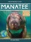 Manatee