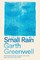 Greenwell, G: Small Rain