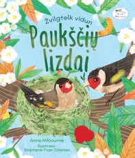 Paukščių lizdai: žvilgtelk vidun