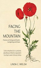 Facing the Mountain
