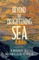 Beyond the Brightening Sea