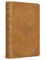 ESV Large Print Bible