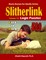 Slitherlink Logic Puzzles