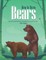 How to Draw Bears Step-by-Step Guide