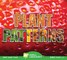 Plant Patterns