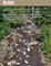 Low-Flow Frequency and Flow Duration of Selected South Carolina Streams in the Saluda, Congaree, and Edisto River Basins through March 2009