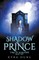 Shadow Prince