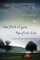 Story of God, the Story of Us