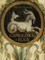 Capricorn in Flux