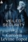 Veiled Security