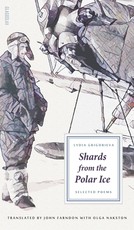 Shards from the Polar Ice