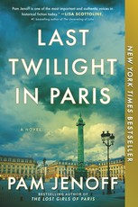Last Twilight in Paris