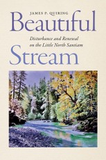 Beautiful Stream