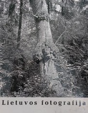 Lietuvos fotografija (1974)