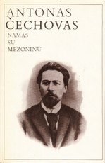 Namas su mezoninu Namas su mezoninu