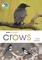 RSPB Spotlight Crows