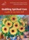 Enabling Spiritual Care