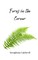 Ferns in the Corner
