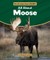 All about Moose