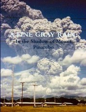 A Fine Gray Rain