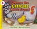 Where Do Chicks Come From?