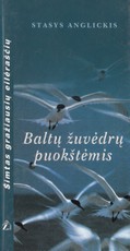 Baltų žuvėdrų puokštėmis