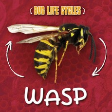 Wasp