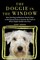 The Doggie in the Window