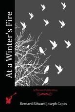 At a Winter's Fire