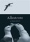 Albatross