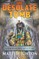 The Desolate Tomb