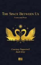 The Space Between Us