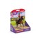 SCHLEICH HORSE CLUB Hana ir Kajenas